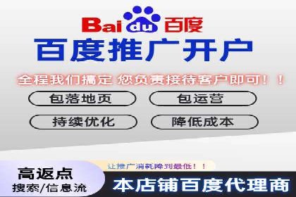 推广竞价策略优化：借鉴成功案例实现高效转化